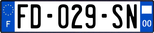 FD-029-SN
