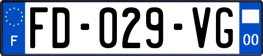 FD-029-VG