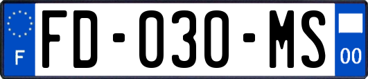 FD-030-MS