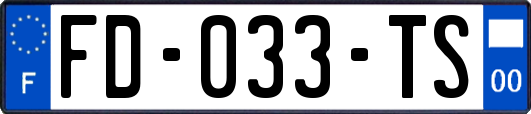 FD-033-TS