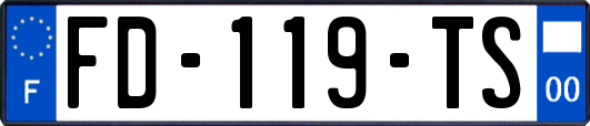 FD-119-TS