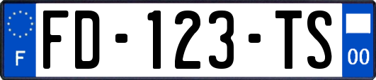 FD-123-TS
