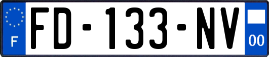 FD-133-NV
