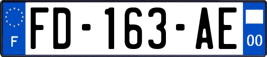 FD-163-AE