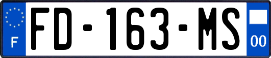 FD-163-MS