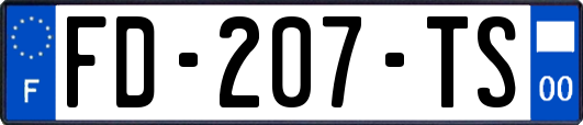 FD-207-TS