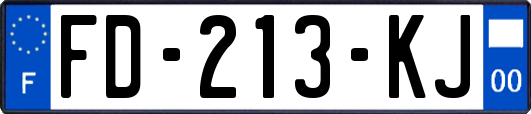 FD-213-KJ