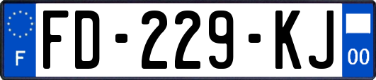 FD-229-KJ
