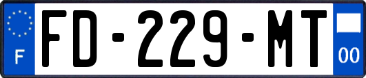 FD-229-MT