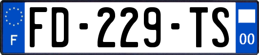 FD-229-TS
