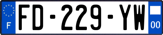 FD-229-YW