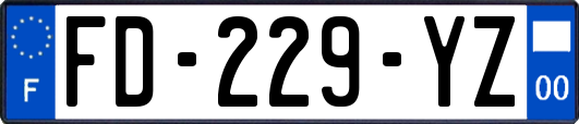 FD-229-YZ