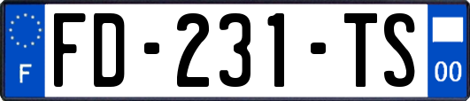 FD-231-TS