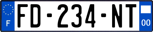 FD-234-NT
