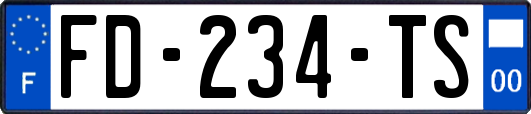 FD-234-TS