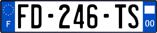 FD-246-TS