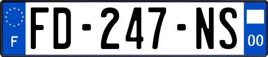 FD-247-NS