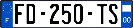 FD-250-TS