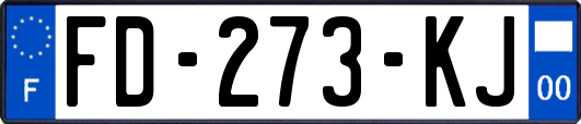 FD-273-KJ