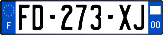 FD-273-XJ