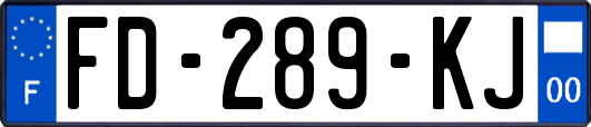 FD-289-KJ
