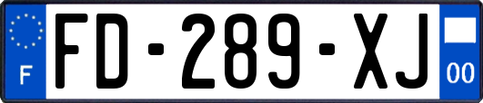 FD-289-XJ