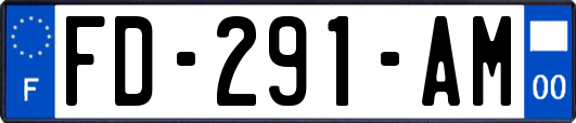 FD-291-AM