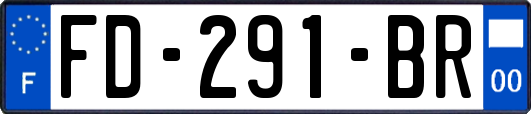 FD-291-BR