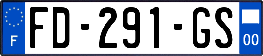 FD-291-GS