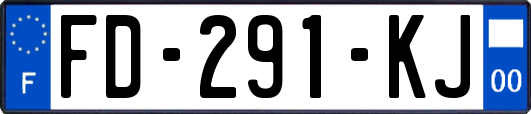 FD-291-KJ