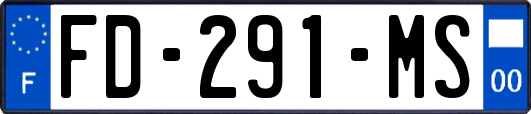 FD-291-MS