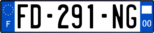 FD-291-NG
