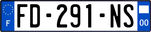 FD-291-NS