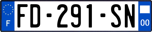 FD-291-SN