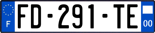 FD-291-TE