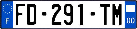 FD-291-TM