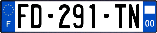 FD-291-TN