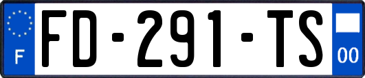 FD-291-TS