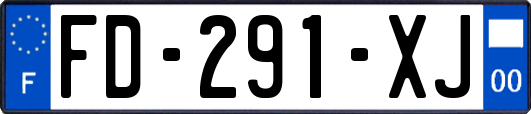 FD-291-XJ