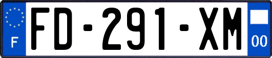 FD-291-XM