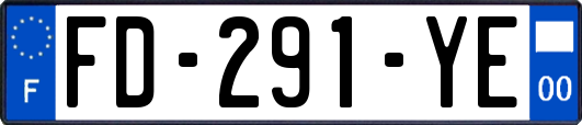 FD-291-YE