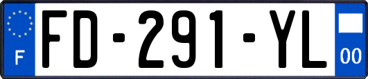 FD-291-YL
