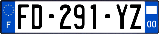 FD-291-YZ