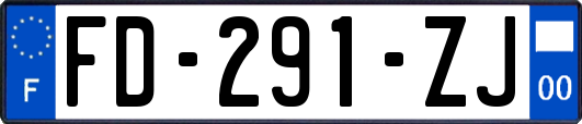 FD-291-ZJ