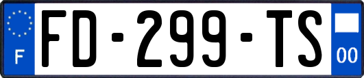 FD-299-TS