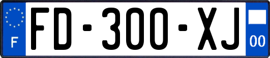 FD-300-XJ