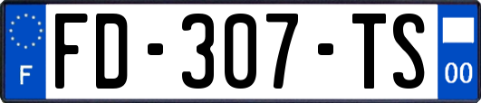 FD-307-TS