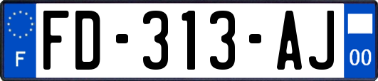 FD-313-AJ