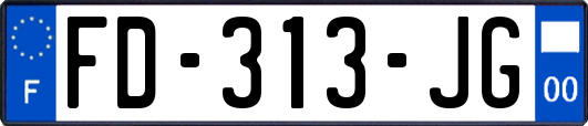 FD-313-JG