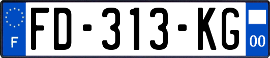 FD-313-KG